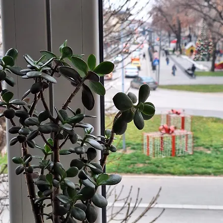 Stan Na Dan Gradsko Sokace Apartment Pozarevac