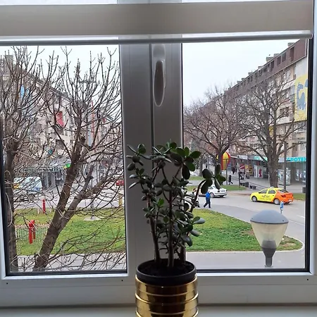 Stan Na Dan Gradsko Sokace * Pozarevac
